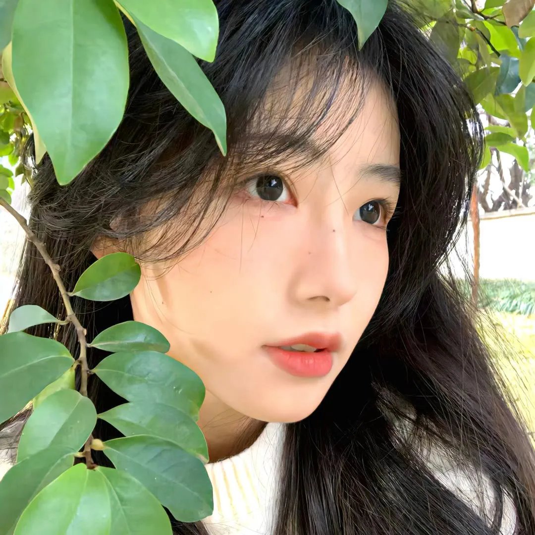 声生不息 舞台纯享版